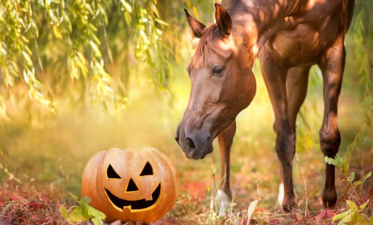 Ghoulish Fun Slated For Meadowlands Racetrack’s ‘Track Or Treat’