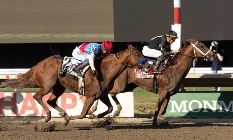 Haskell Champ Cyberknife Among Top Choices In Breeders’ Cup Dirt Mile