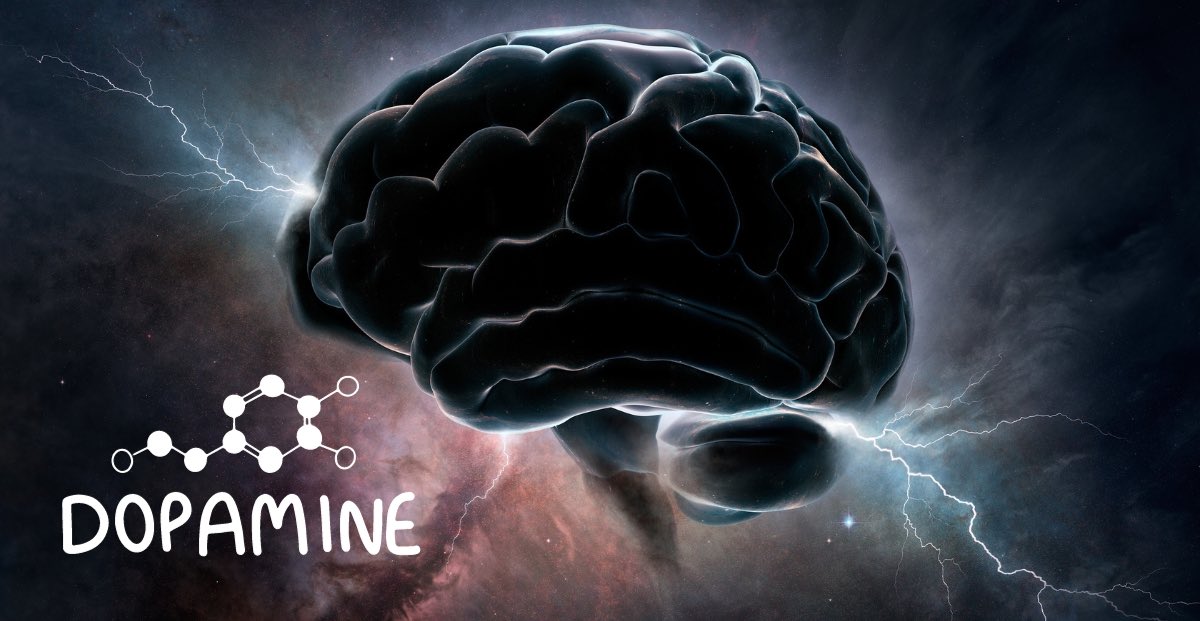 The Role of Dopamine Deficiency in Problem Gambling